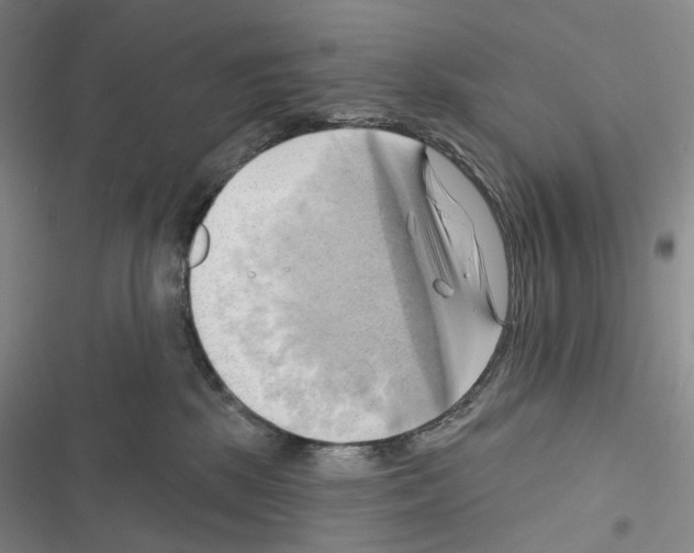 X0000116450281201001191559