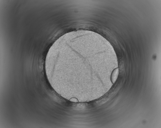 X0000116450282201001191559