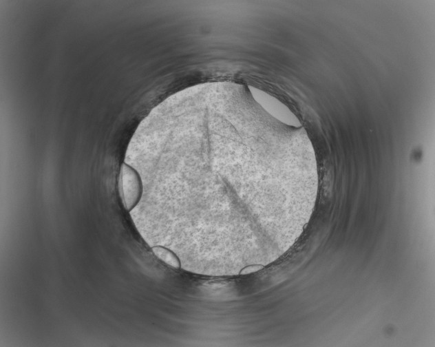 X0000116450283201001191559