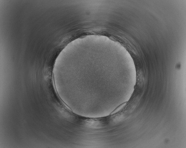 X0000116450284201001191559