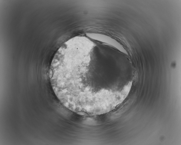 X0000116450285201001191559