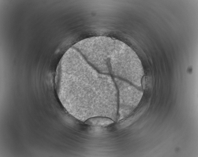 X0000116450286201001191559