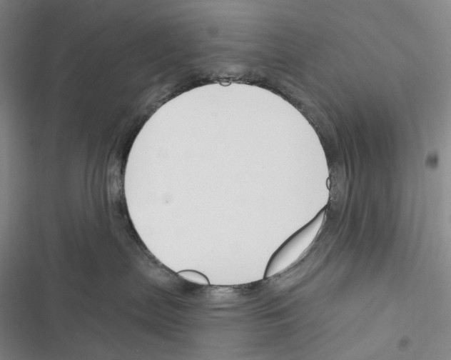X0000116450287201001191559