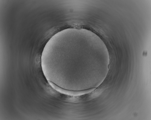 X0000116450288201001191559