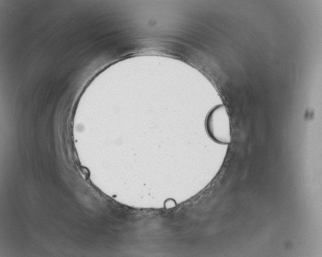 X0000116450289201001191558