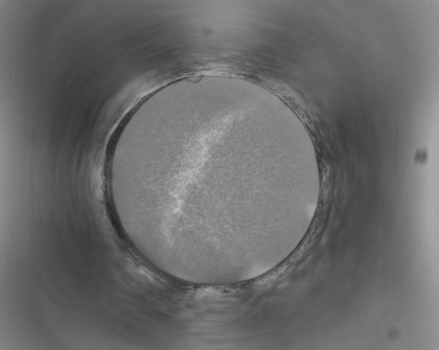 X0000116450290201001191558