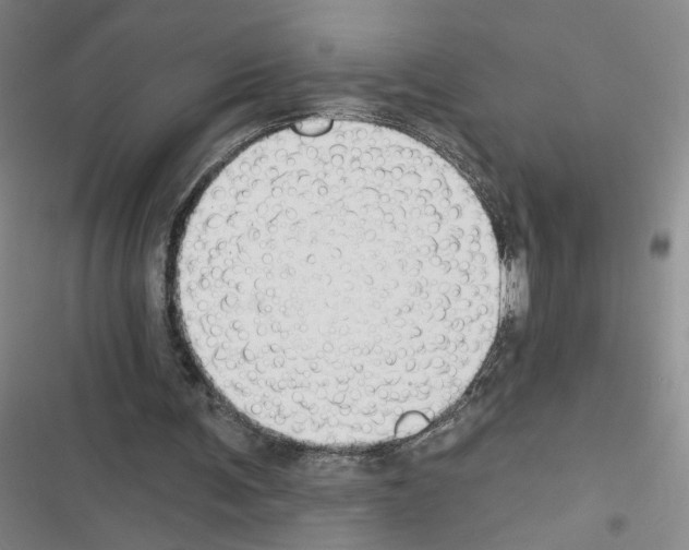 X0000116450291201001191558