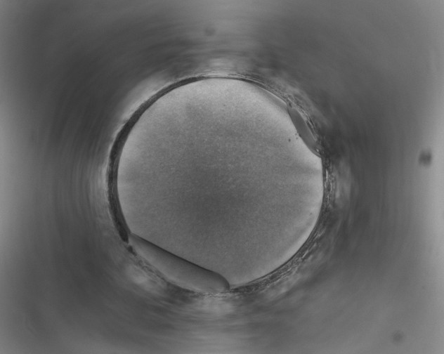 X0000116450292201001191558