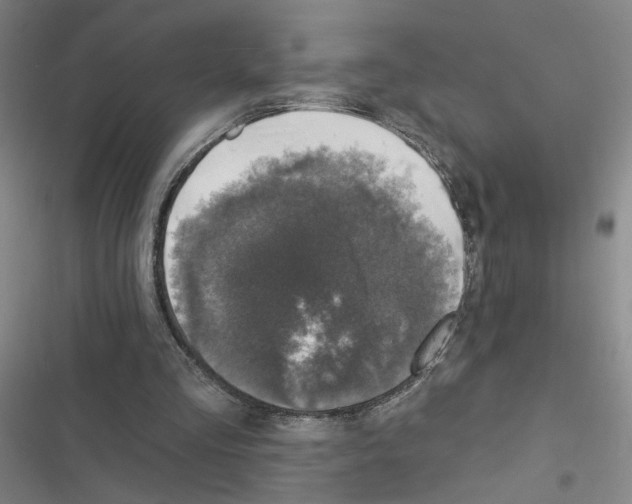 X0000116450293201001191558