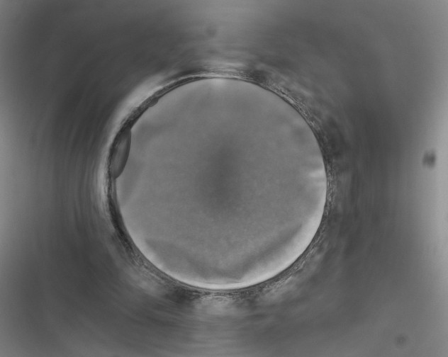 X0000116450294201001191558