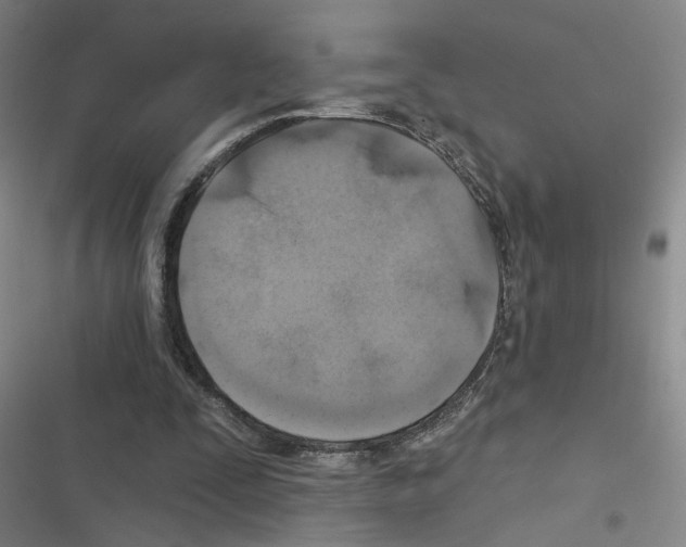 X0000116450295201001191558