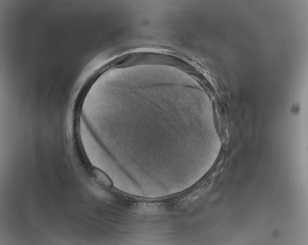 X0000116450296201001191558