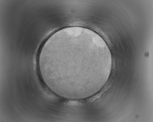 X0000116450298201001191558