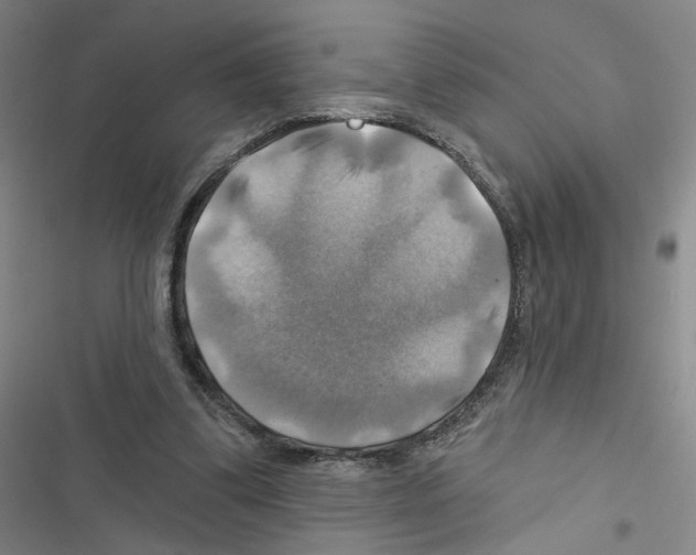 X0000116450299201001191558