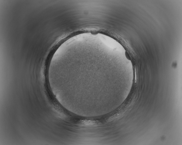 X0000116450300201001191558