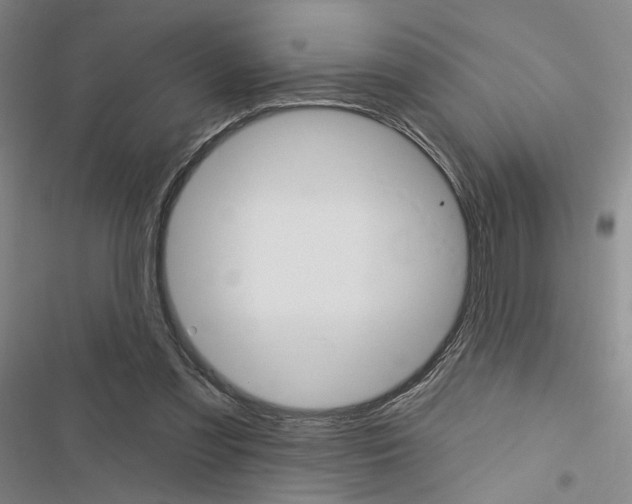 X0000116450301201001191558