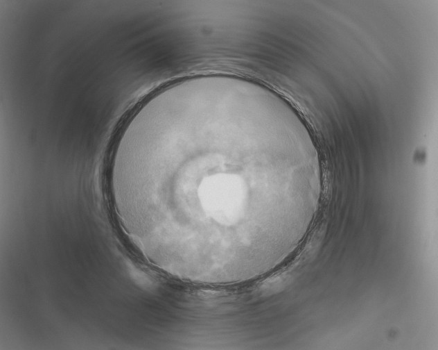 X0000116450302201001191558
