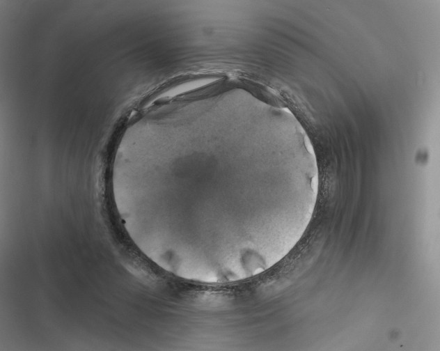 X0000116450303201001191558