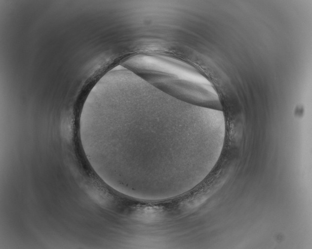 X0000116450304201001191558