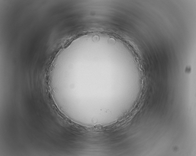 X0000116450305201001191558