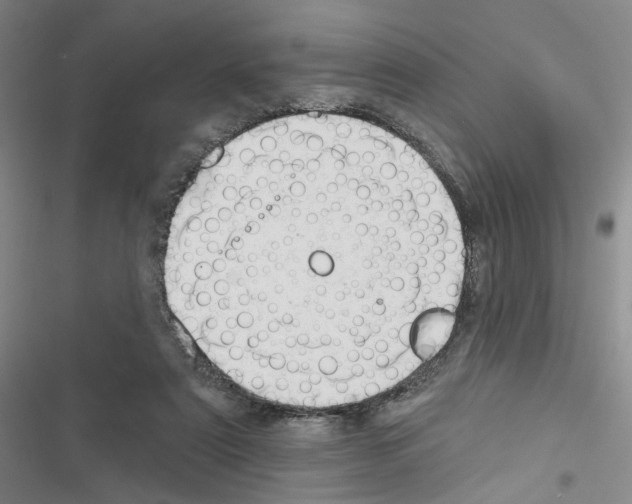 X0000116450307201001191558