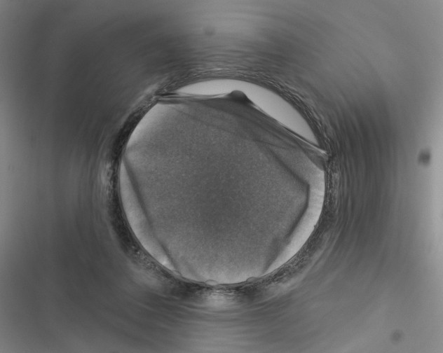 X0000116450308201001191558