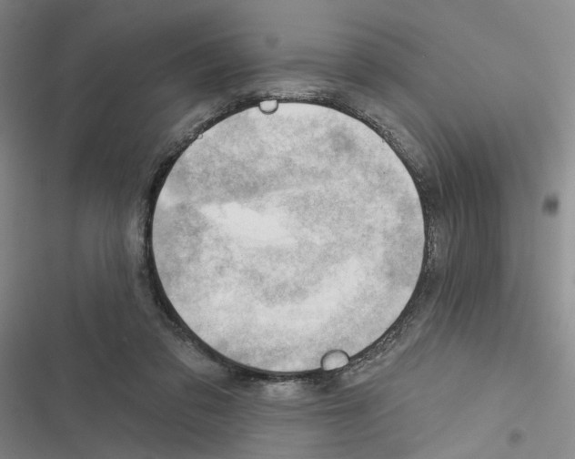 X0000116450309201001191558