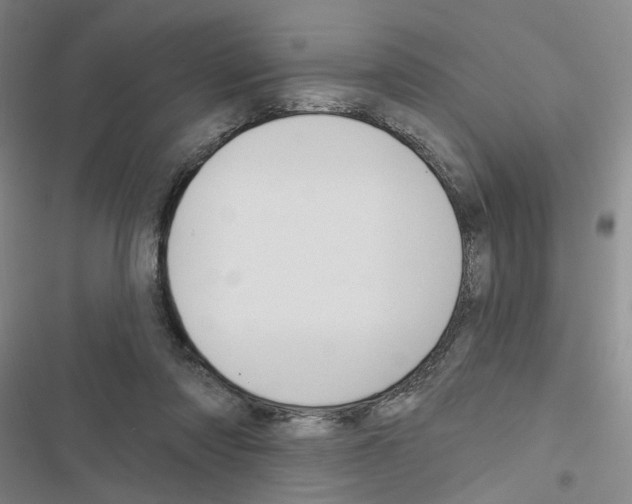 X0000116450310201001191558