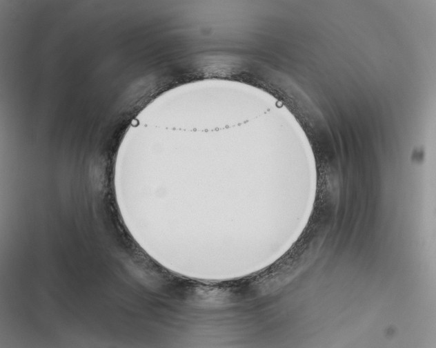 X0000116450311201001191558