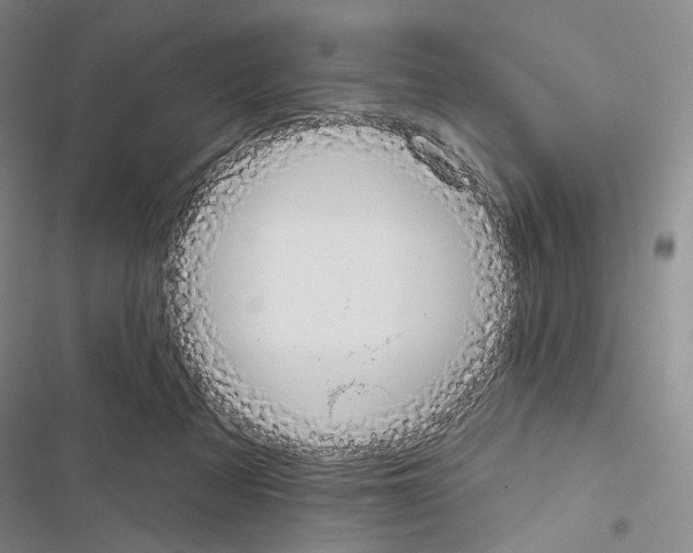 X0000116450313201001191558