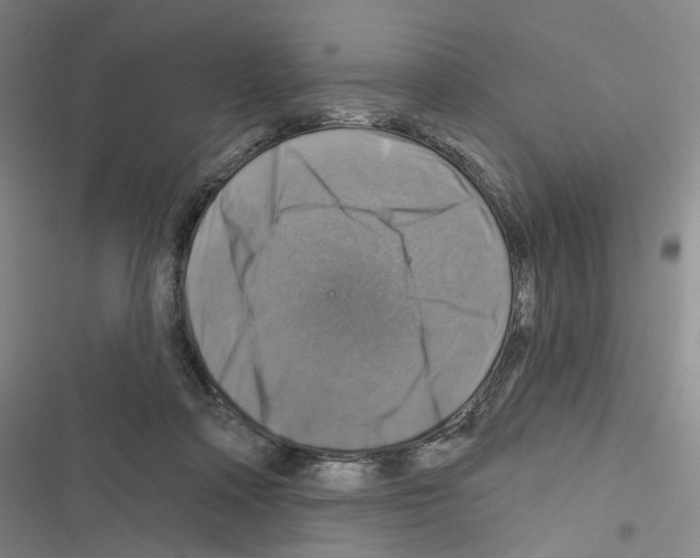 X0000116450314201001191558