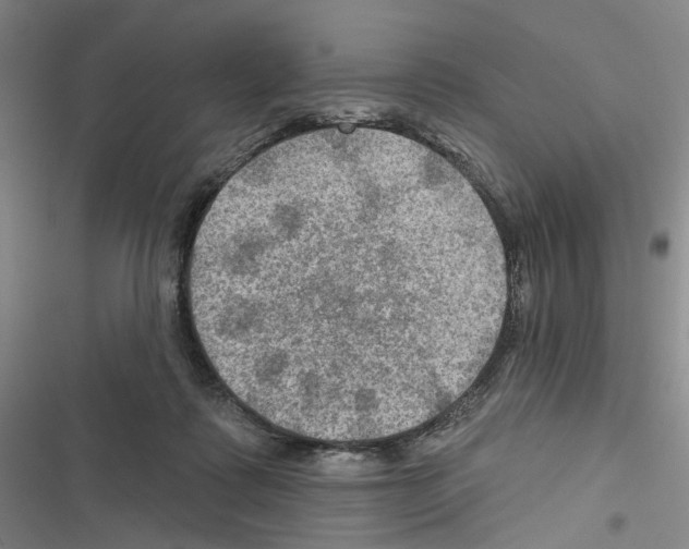 X0000116450315201001191558