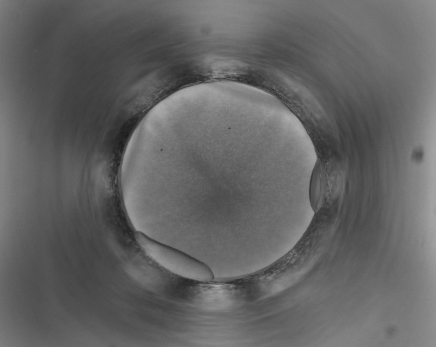 X0000116450316201001191558