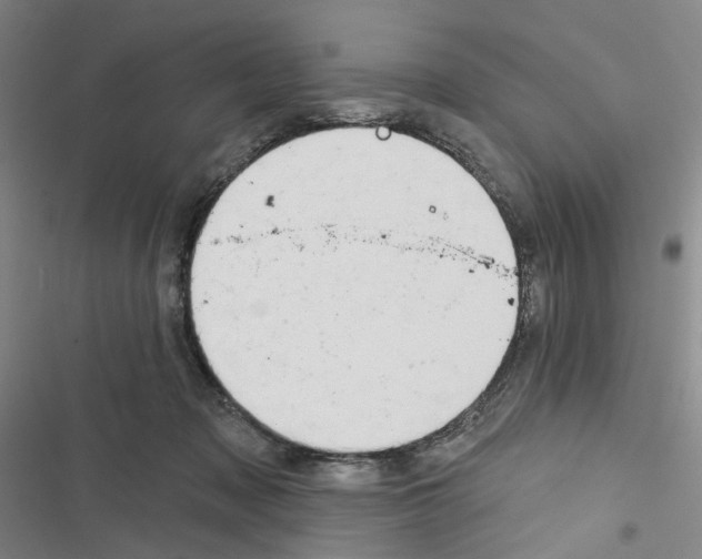 X0000116450317201001191558
