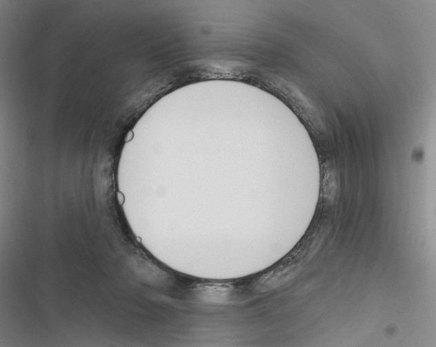 X0000116450318201001191558