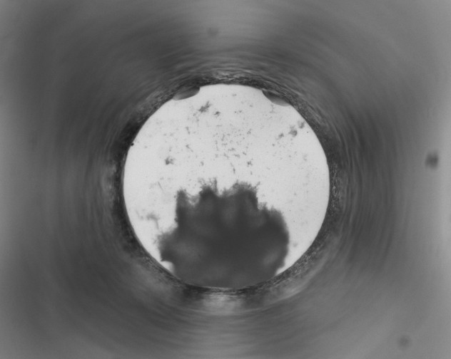 X0000116450319201001191558