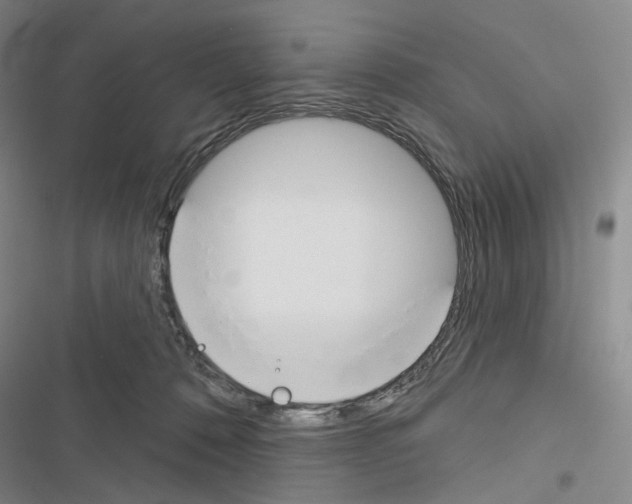 X0000116450320201001191558