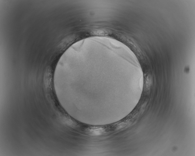 X0000116450322201001191558
