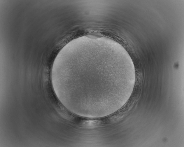 X0000116450323201001191558