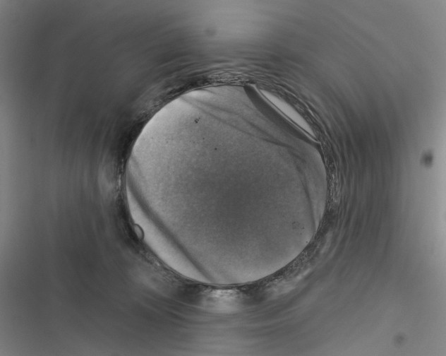 X0000116450324201001191558