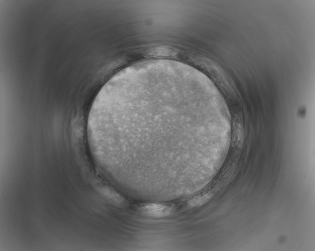 X0000116450326201001191558