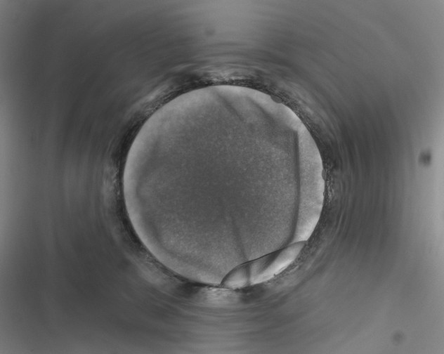 X0000116450327201001191558