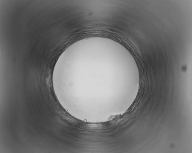 X0000116450328201001191558