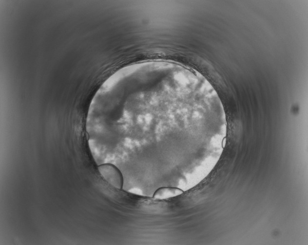 X0000116450331201001191558