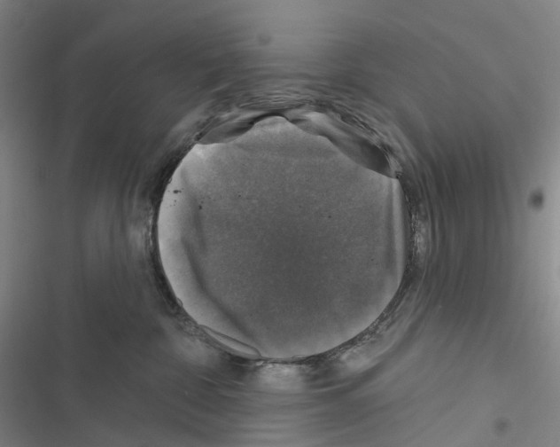 X0000116450332201001191558