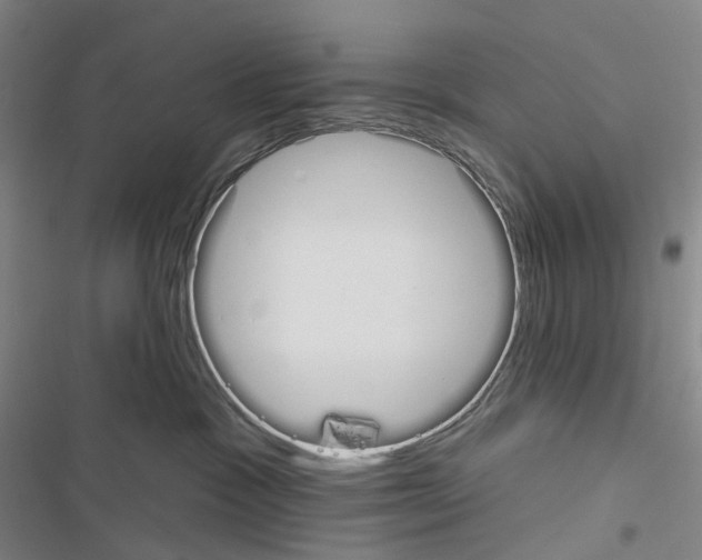 X0000116450333201001191558