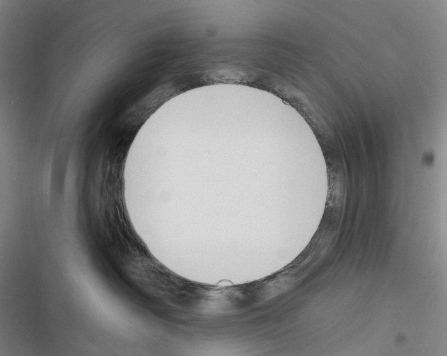 X0000116450334201001191558