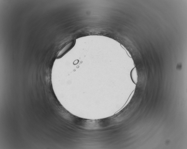 X0000116450335201001191558