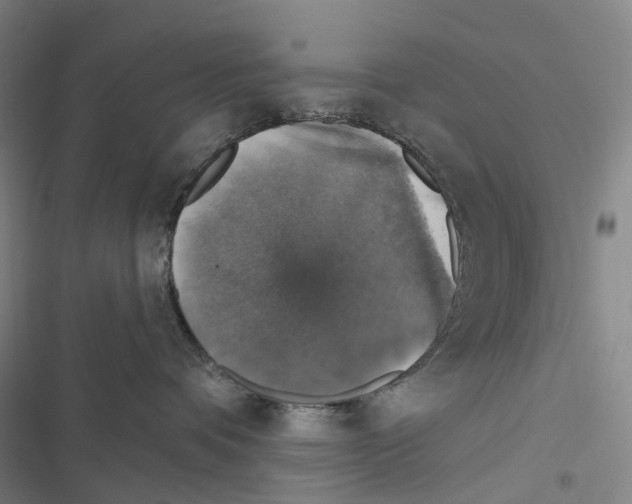 X0000116450336201001191558