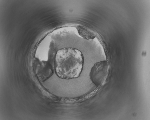 X0000116450337201001191557